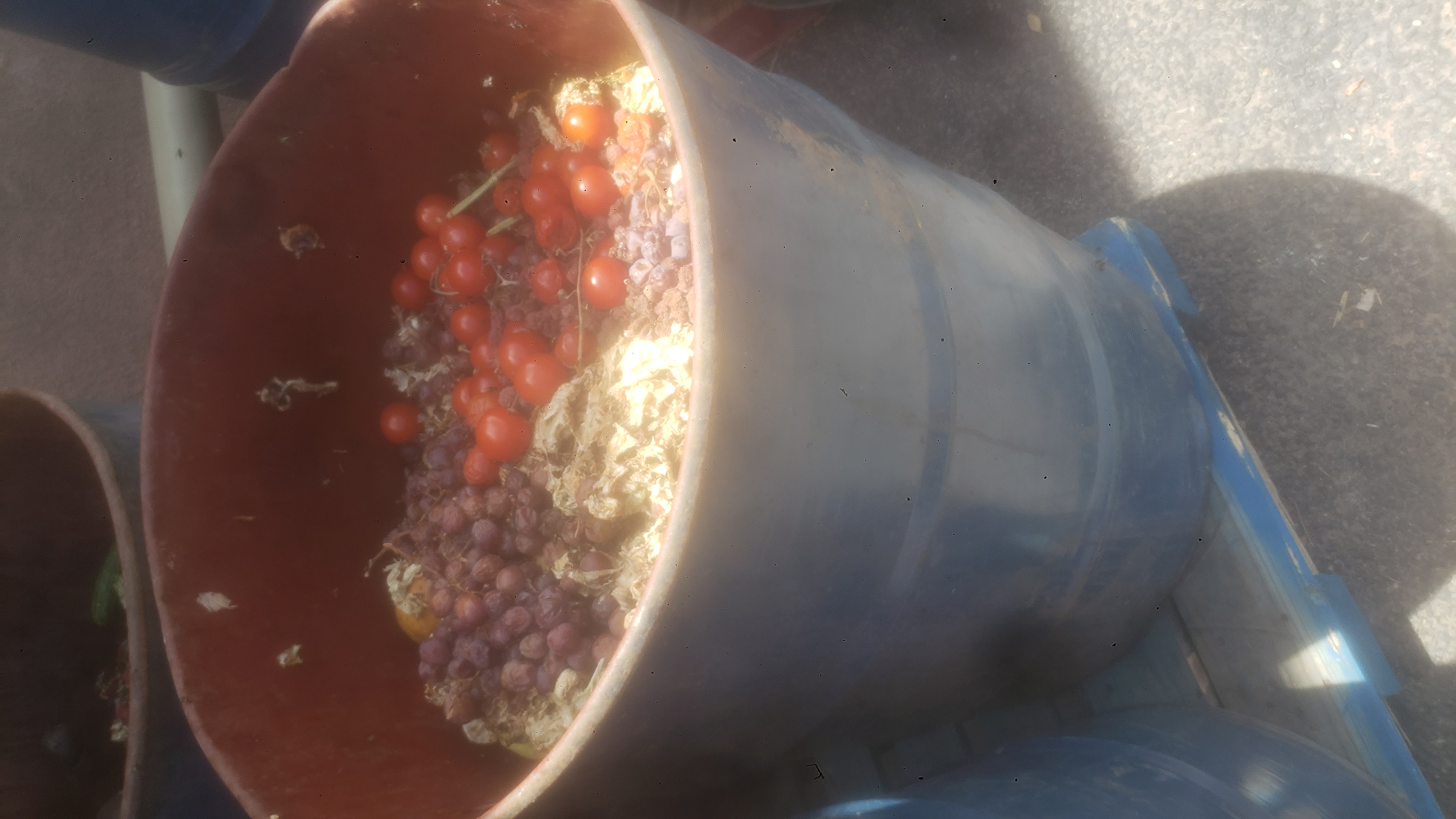Barrel of rotten produce.